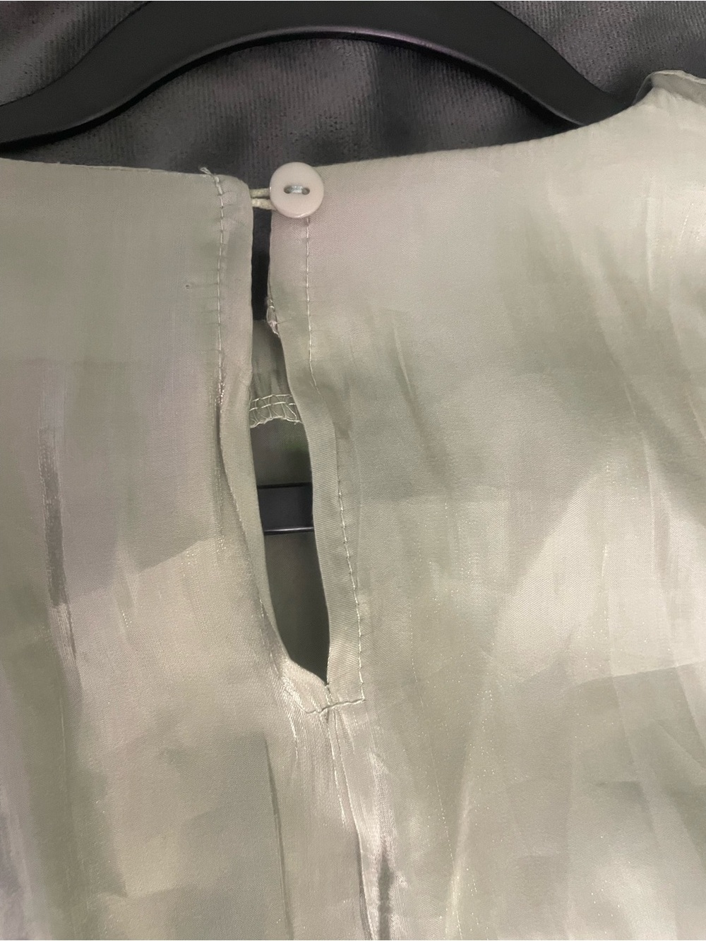 Sheer, Shimmery Sage Green Blouse - Picture 5 of 11
